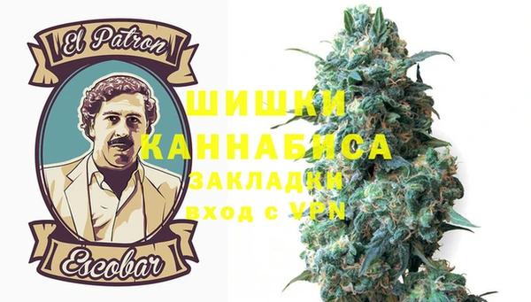 ALPHA PVP Краснослободск