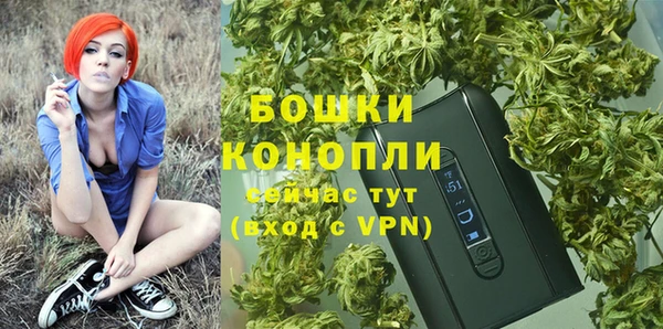 ALPHA PVP Краснослободск